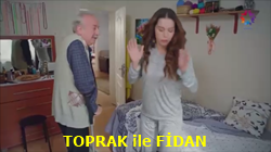 topfidan